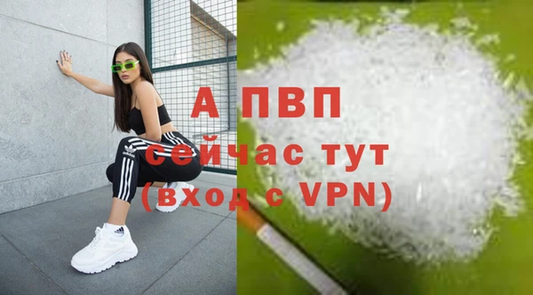 СК Гусев