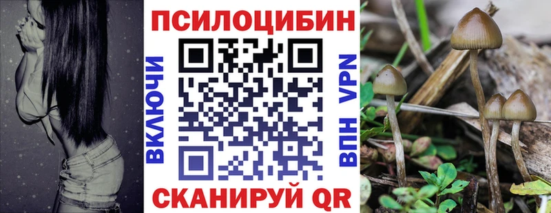 кракен зеркало  Зеленогорск  Псилоцибиновые грибы MAGIC MUSHROOMS 